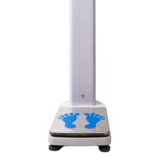 ������⡢���������